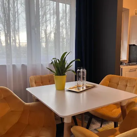Dylara De Lux Apartament * Timisoara