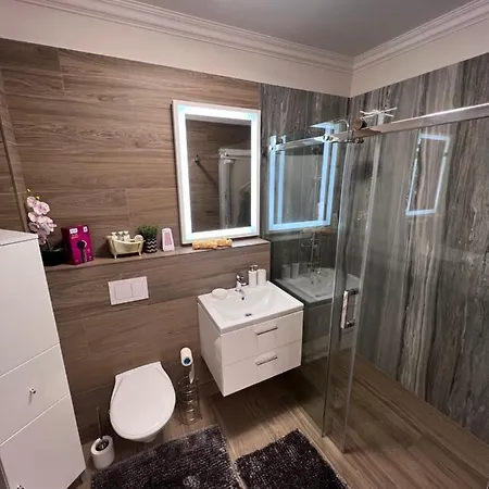 Dylara De Lux Apartament Apartment Timisoara