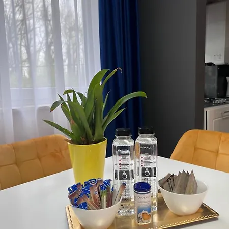 Dylara De Lux Apartament Timisoara