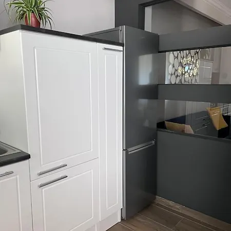 Dylara De Lux Apartament Apartment Timisoara